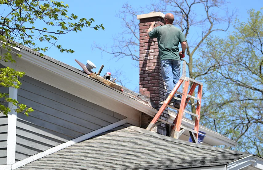 Chimney & Fireplace Inspections Services in Madison, WI